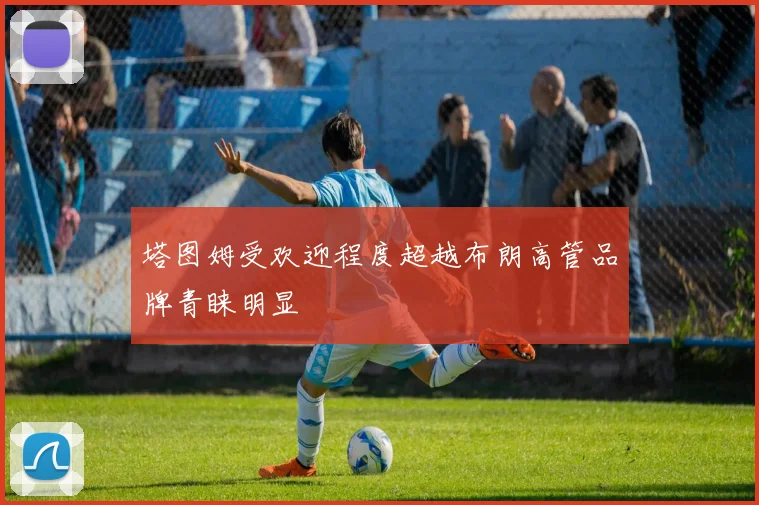 塔图姆受欢迎程度超越布朗高管品牌青睐明显