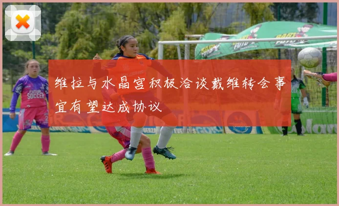 维拉与水晶宫积极洽谈戴维转会事宜有望达成协议
